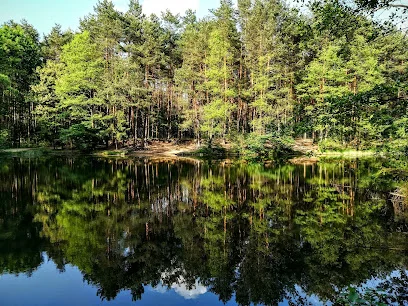 Dolina Żabnika