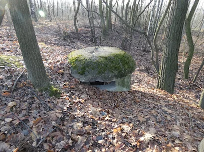 Kochbunkier linii B-2